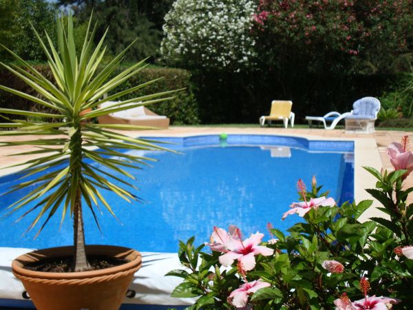 Cost of Pool Terrace Renovation in Kansas City