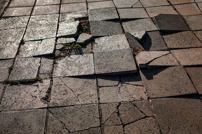 Pavers Surface Repair